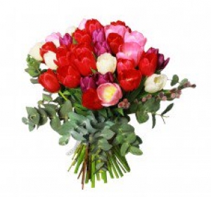 Aranjamente Florale Cantemir