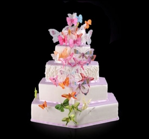 Tort Tunta Cahul