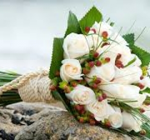 Foto - Video Nunta Drochia