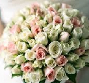 Foto - Video Nunta Orhei