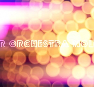 Formatie Nunta - ILEN & Power Orchestra Moldova