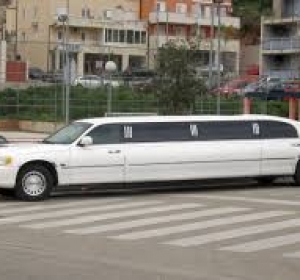 Limuzina Nunta Floresti