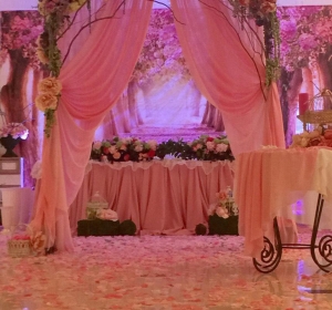 Restaurant Salon Nunta Chisinau Botanica - Club Royal Park